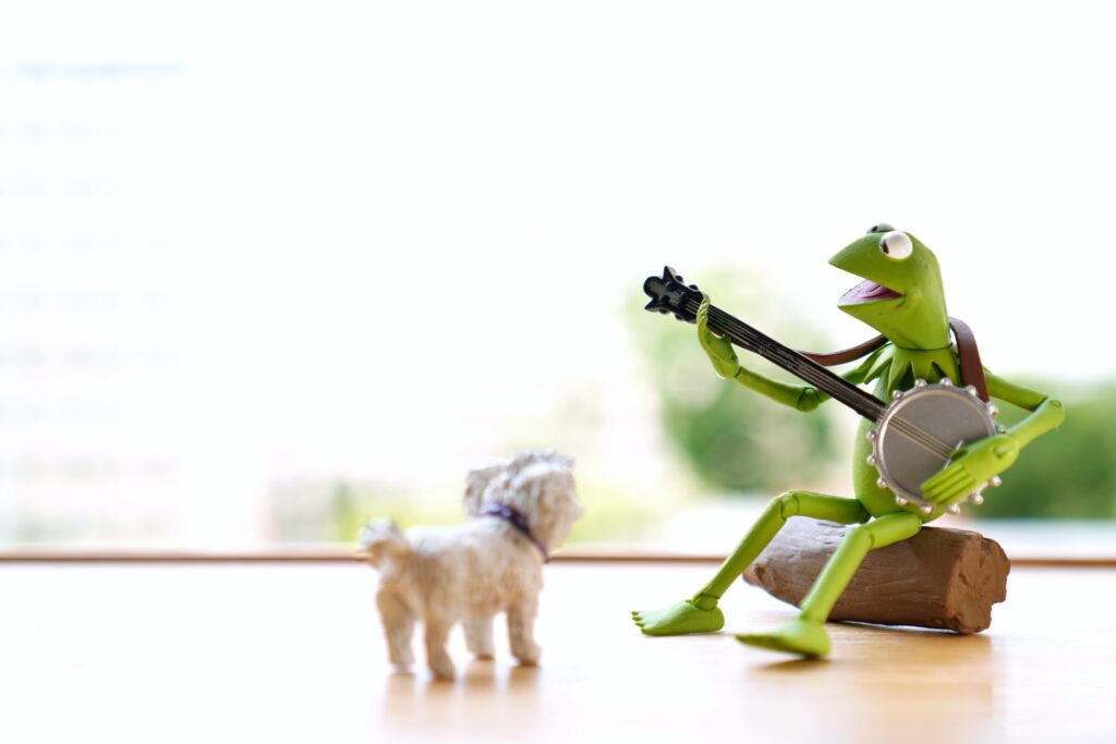 Calm it Kermit! How to reduce stress in the workplace. A blog post by OutSec, the UK's leading online transcription company